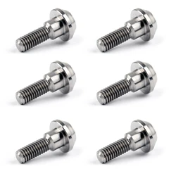 Topteng M6 x 20mm Titanium/Ti Disc Brake Rotor Bolts For Suzuki GSXR Yamaha R1 R6 YZF Motorcycle Accessories