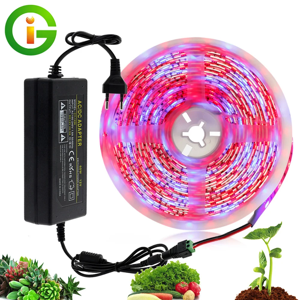 LED Grow Light 5M Waterproof DC12V Full Spectrum Growing LED Strip Plant Growth Light Set With US/EU Adapter And Switch