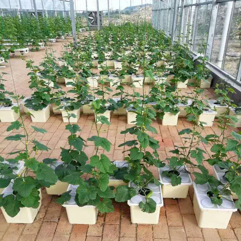 Soilless Cultivation Dutch Bucket Balcony Flowerpot Hydroponic Vegetable Tomato Watermelon Flower Equipment Planting