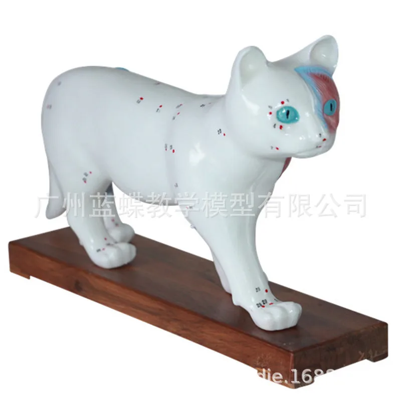 Animal Skeleton Cat Acupuncture Anatomical Acupoint Nursing Massage Model Veterinary Medical Supplies