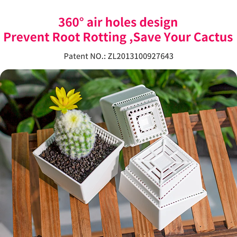 Meshpot Cactus Succulent Litops Pot with Drainage Good Air Holes and Root Control Planter in White Color