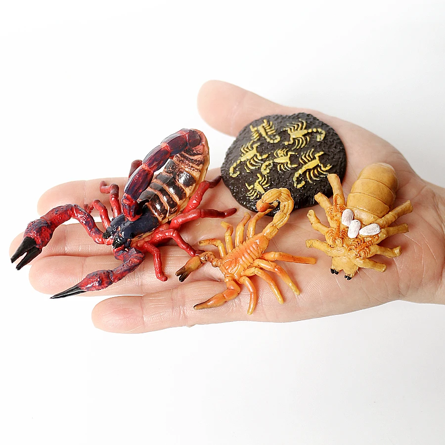 Simulation Green Bean,Cicada,Octopus,Centipede,Horseshoe crab,Crocodile,Scorpion,wasp Growth Cycle Model Figures Educational toy