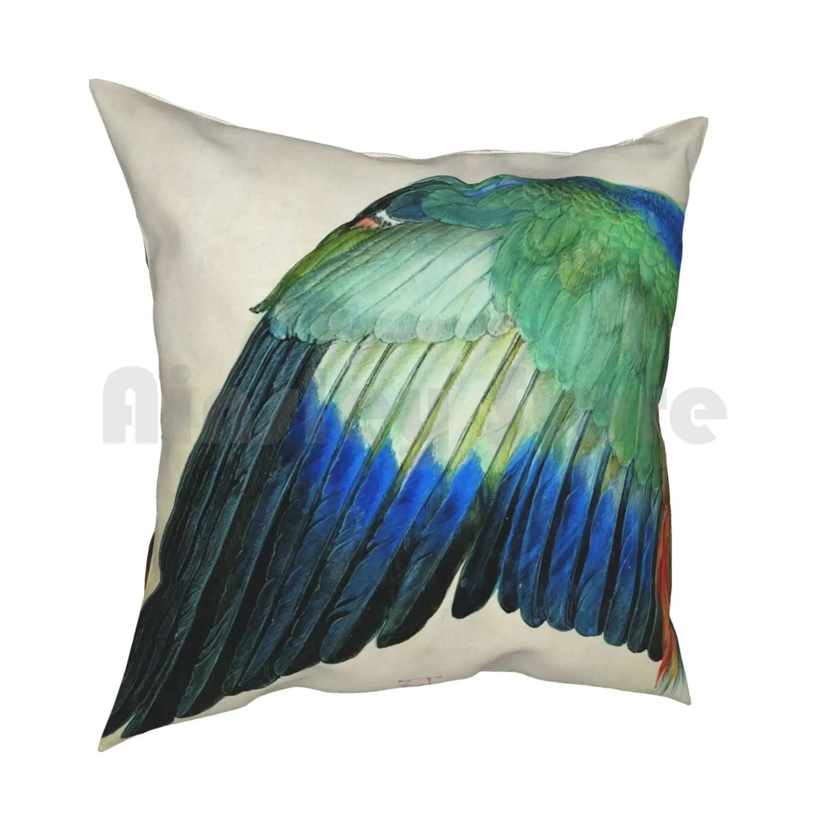 Albrecht Dürer-Wing Of A Roller 1512 Pillow Case Printed Home Soft Throw Pillow Albrecht Dürer Dürer Durer Germany