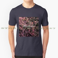 Wallows Spring Ep 100% Cotton T-Shirt Wallows Dylan Minnette Braeden Lemasters Indie Alternative Emma Chamberlain Eilish Rex