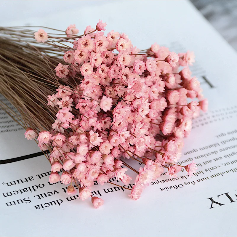 Dried Flower Little Gypsophila Daisy Bouquet DIY Home Decoration Vase Flower Arrangement Art Deco Dried Flower Photography Props