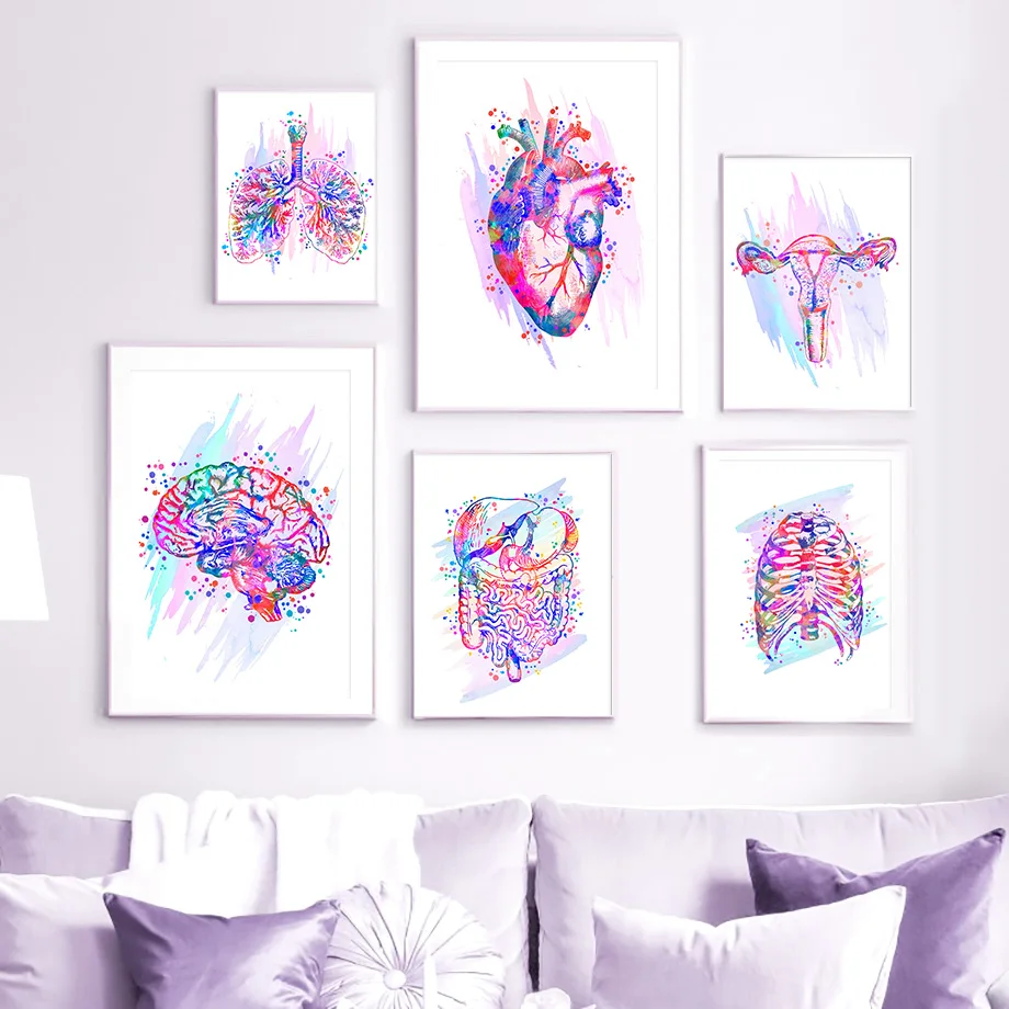 Color Anatomy Brain Heart Skeleton Retro Wall Art Canvas Painting Nordic Posters And Prints Wall Pictures For Doctor Room Decor