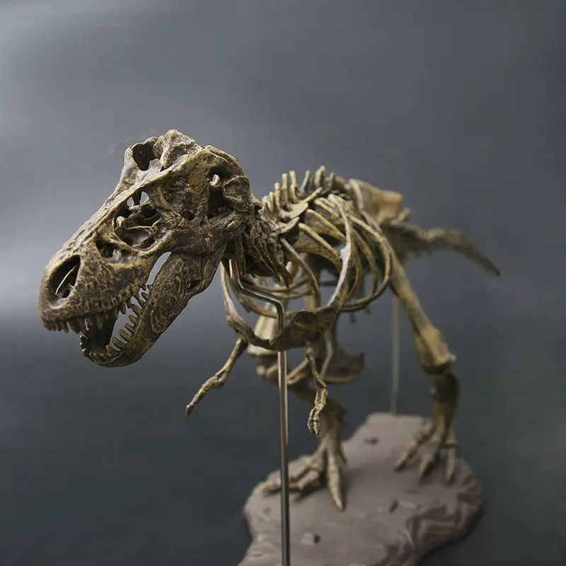 4D Tyrannosaurus Rex Excavation Science Kit Dig Up Dinosaur and Assemble a 4D Skeleton Ancient Animal Fossil Skull