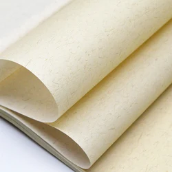 Long Fiber Batik Rice Paper Half-Ripe Xuan Paper Seal Script Brush Calligraphy Painting Practice Retro Long Fiber Hemp Paper