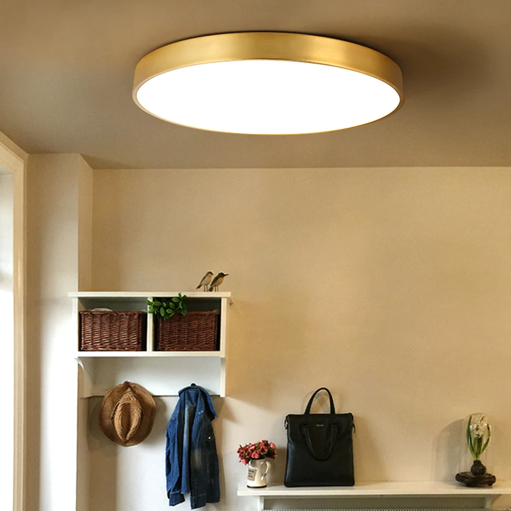 Simple LED Ceiling Lamp Decorative LED Ceiling Lamps for Living Room Bedroom Interior Lighting Gold Dimmable Ceiling Lights