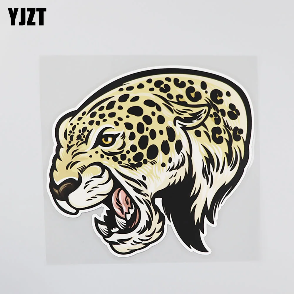 YJZT 15.3CM*14CM Interesting Animals Spend A Leopard  Car Sticker PVC Decal 12A-0136