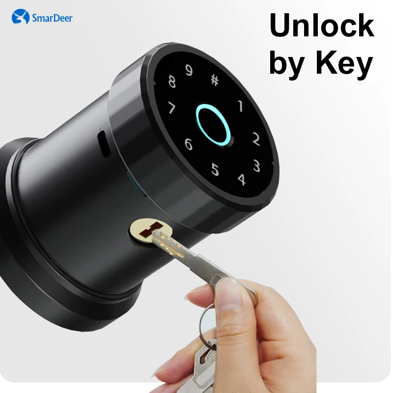 Top! Electronic Lock for Tuya Smart Bluetooth for Smartlife Spherical Indoor fingerprint Electronic Code Lock Keyless entry