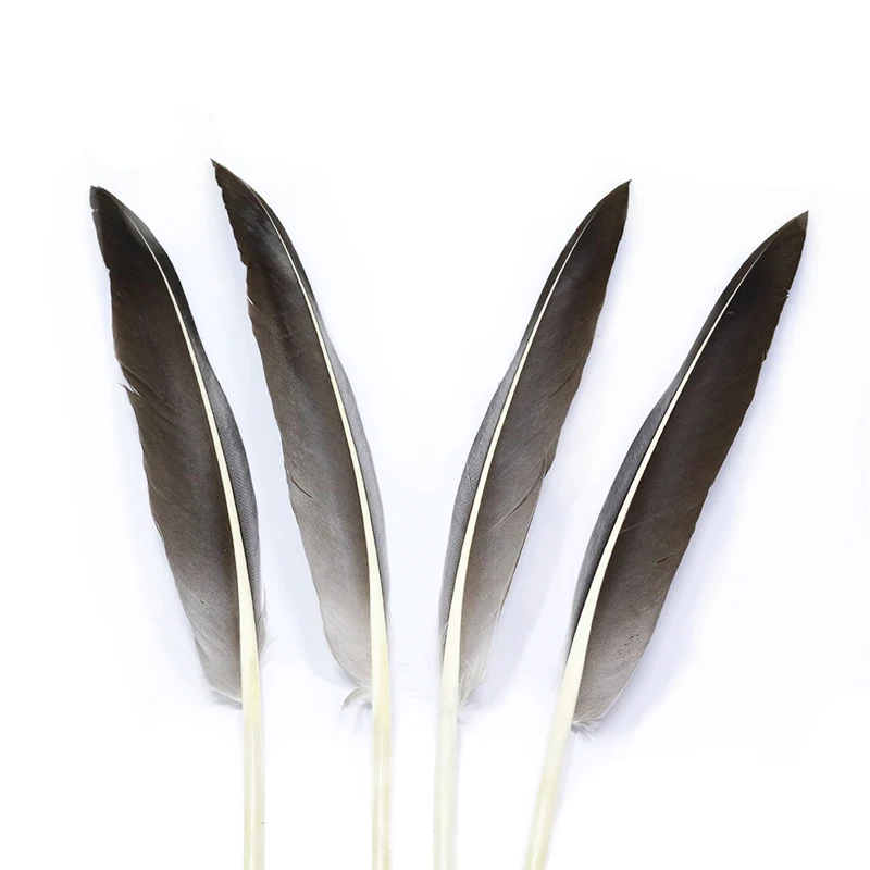 Royal Sissi 4packs fly tying duck quills feather natural gray duck wing feather for wet flies wings&tails fly tying materials