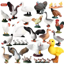 Oenux Simulation Cute Poultry Farm Animals Model Duck Goose Swan Hen Chicken Action Figures PVC Miniature Toy Xmas Gift For Kids