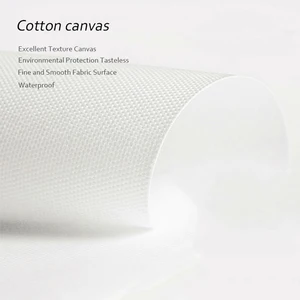 Giải phẫu và sinh lý mặt nữ, đệm cơ và cơ chất béo, chất làm đầy da và áp phích thẩm mỹ Botox 12 ống tiêm Botox bán hàng chính - №11