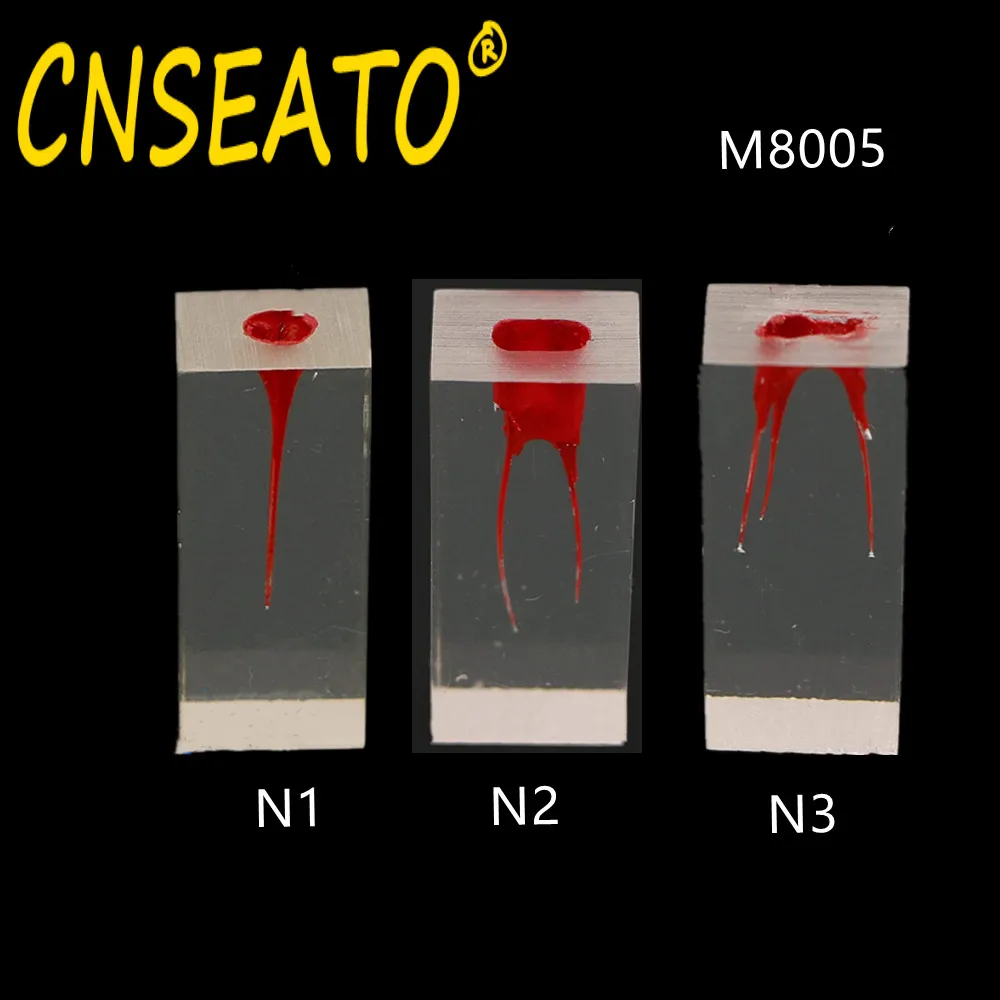 Dental Model Endodontic Root Canal Block Practice Teeth Pulp Cavity Resin Study Endo Training Tooth RCT Demo Student Teaching