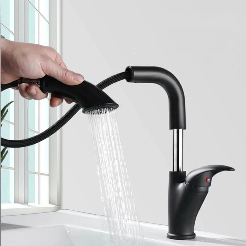 

Pull Out Bathroom Basin Sink Faucet Rinser Sprayer Liftable Matte Black Paint/Chrome Mixer Tap Cold & Hot Basin Faucet