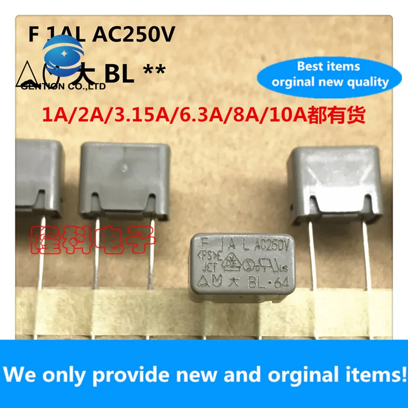 10PCS 100% New original Big BL fuse tube 1A 2A 3.15A 6.3A 8A 10A AC250V DAITO Dadong Import 250V