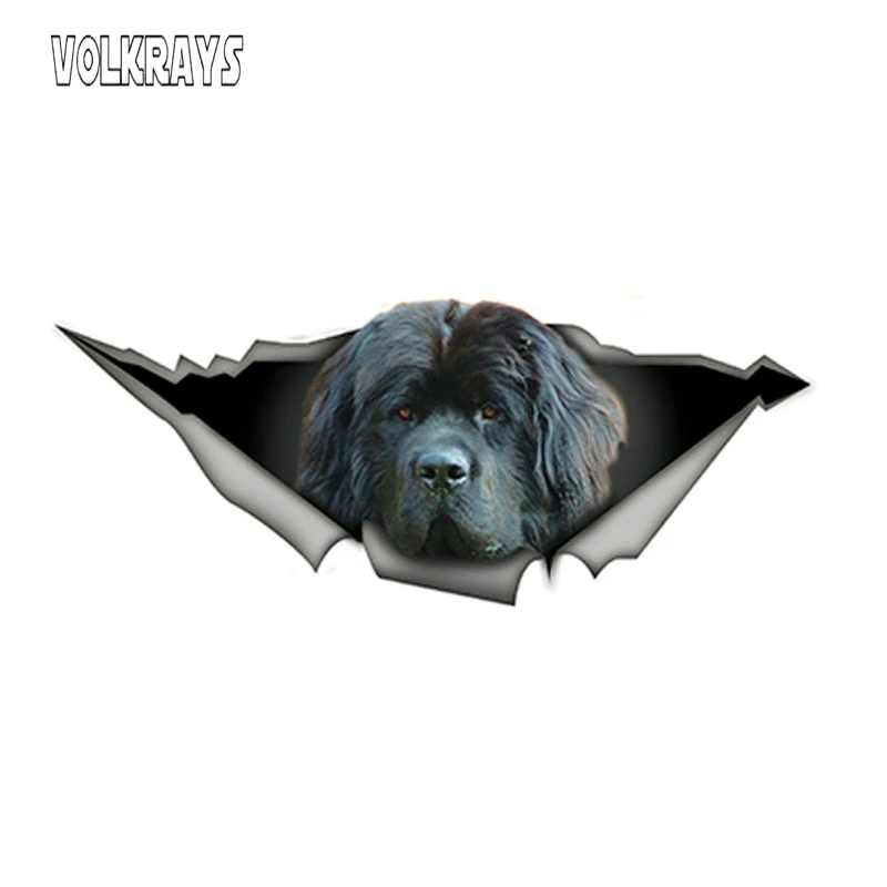 Volkrays Funny Newfoundland 3D Sticker Dewfie Pet Dog Decal Waterproof Styling Car Stickers Decoration Accessories PVC,15cm*6cm