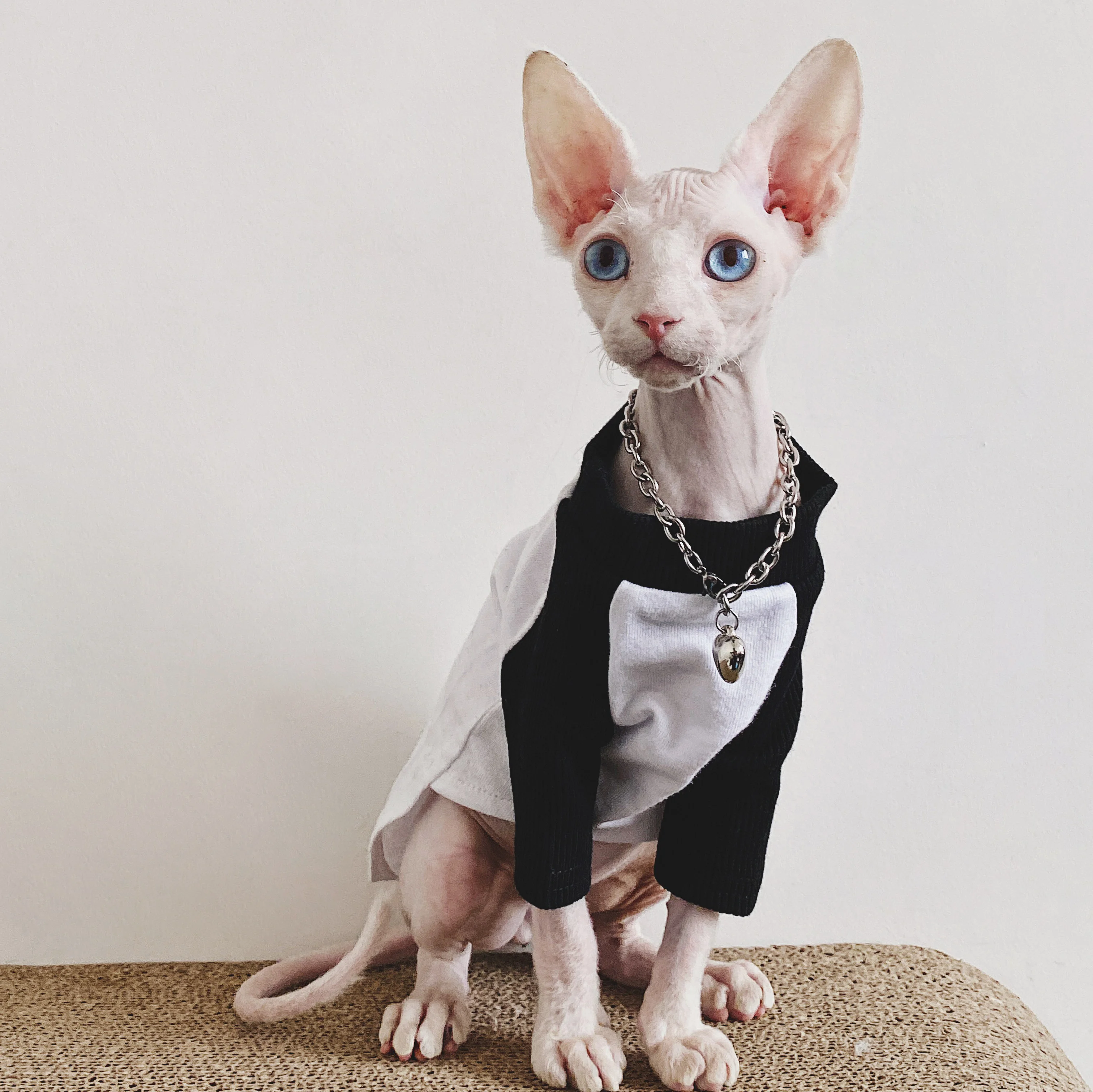 Casual Baseball T-shirt for Cats, 100% Cotton, Trendy Base Shirt, Sphinx, Summer and Autumn Clothes