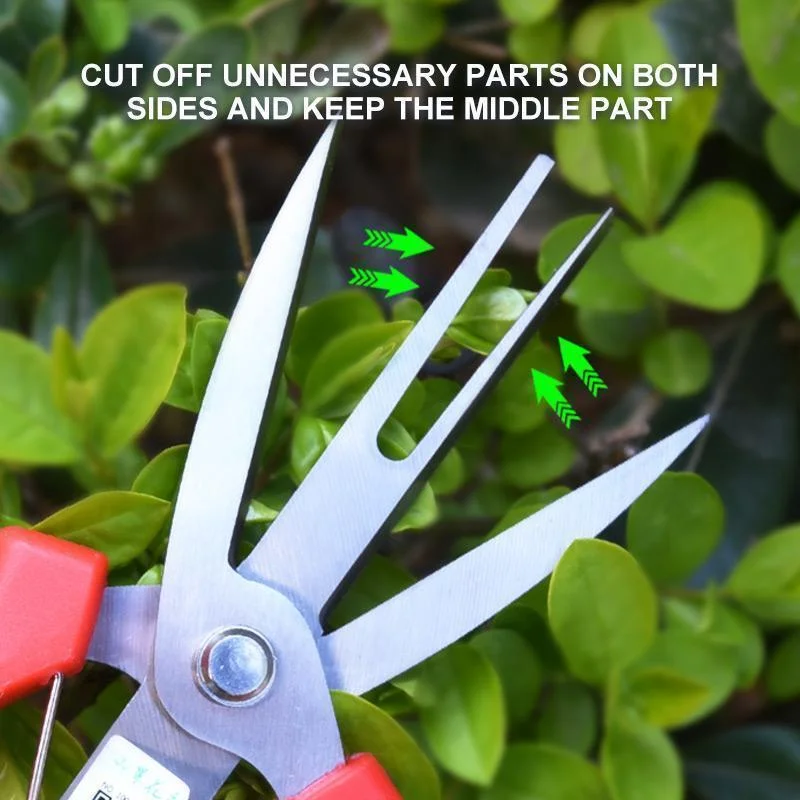 Double-Edged Fruit Picking Scissors, Garden Pruner, Shears Citrus Tree, Flower Cultivating, Solid Multi-use Pruning