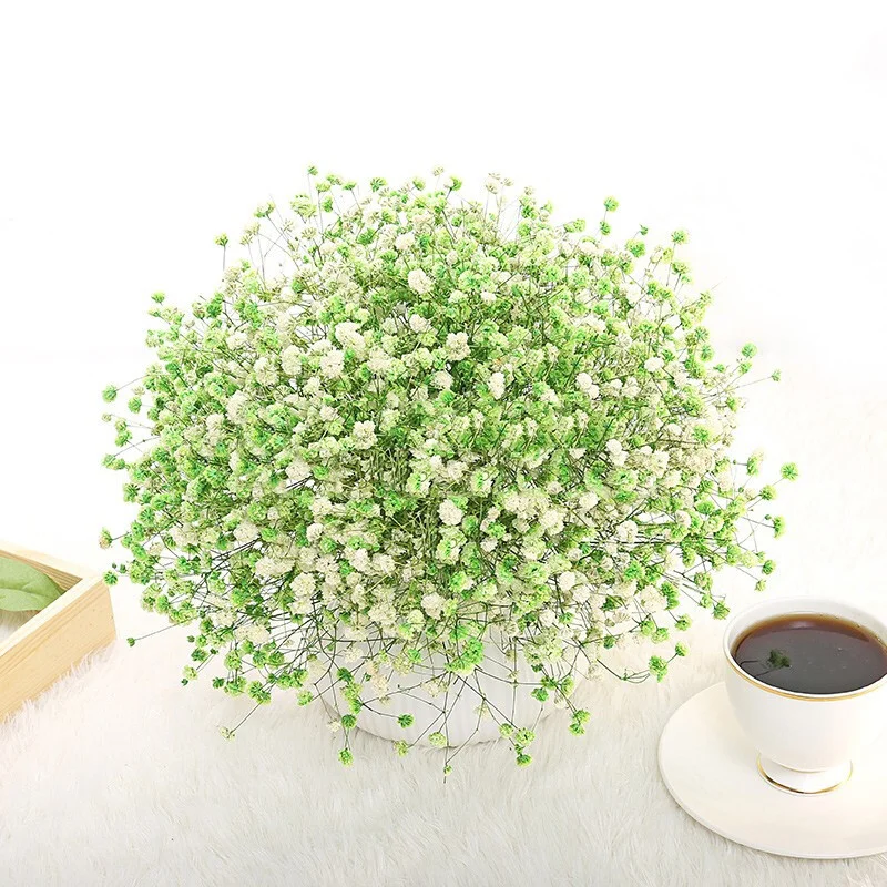 Two Color Gypsophila Dried Real Flower Ornaments Small Fresh Wedding Home Decor Room Decoration Bouquet Straight Hair Wholesale