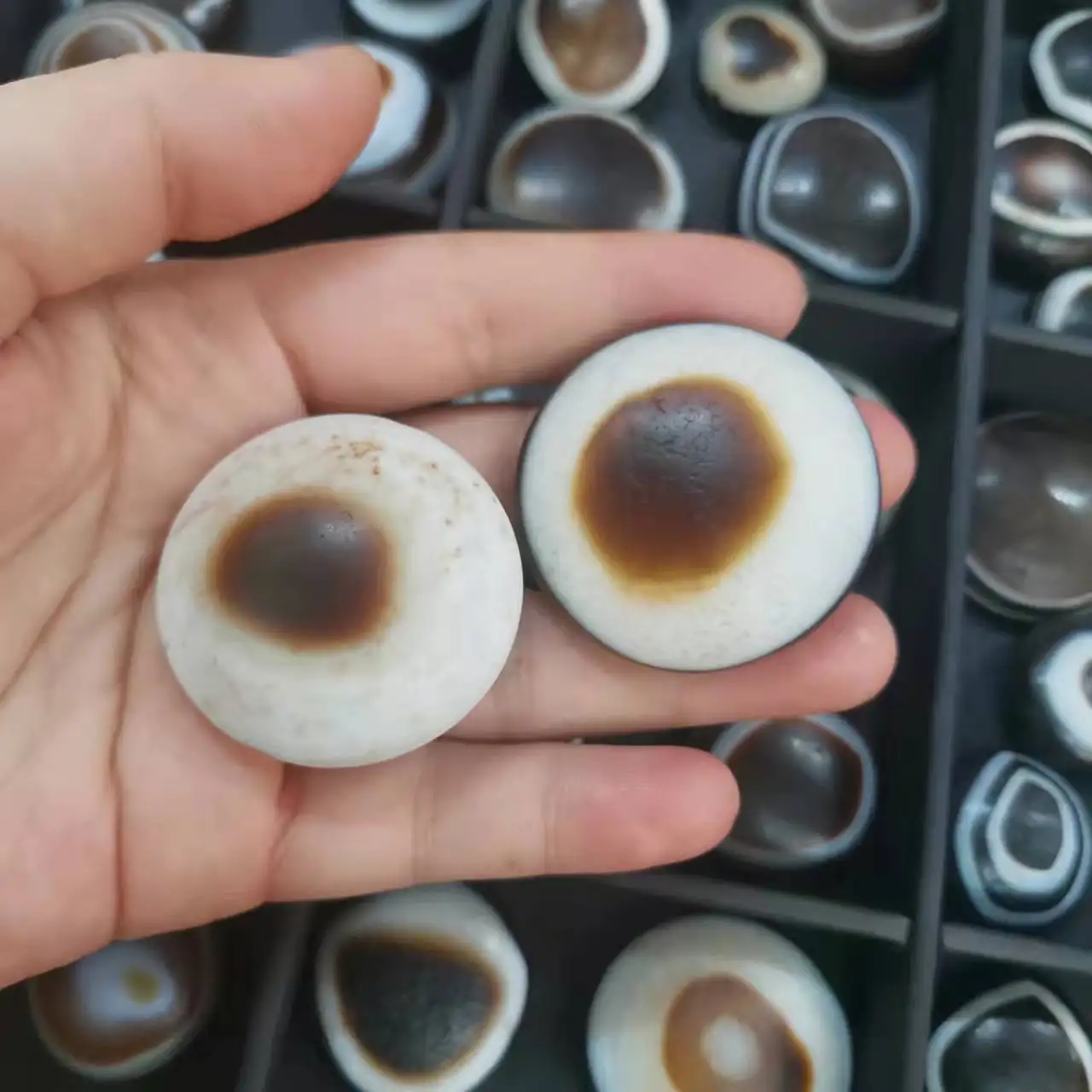 

5Pcs/Lot Natural Agate Dzi God Eye Stone Loose Jewelry Round Plate Sky Sheep Tibetan Characteristics DIY Material Ring Necklace