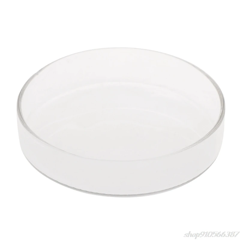 New Arrival Fish Feeder Aquarium Shrimp Glass Feeding Bowl Dish Tray 6 Size O03 20 Dropshipping