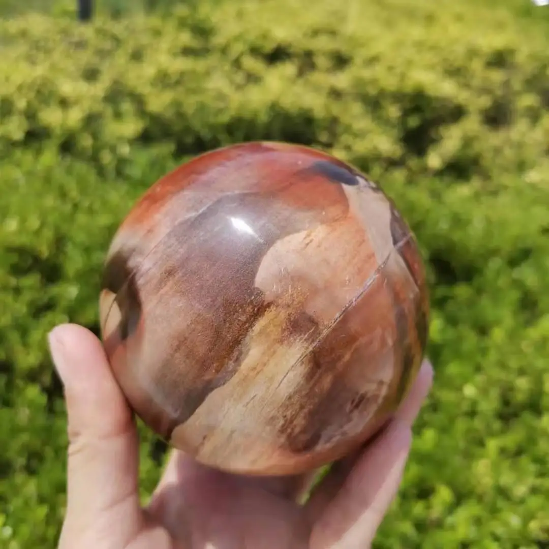 8~9 cm Madagascar Natural Polished Petrified Wood sphere Xylopal healing Ball