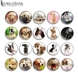 10mm 12mm 16mm 20mm 25mm 30mm 572 Cute Dog Mix Round Glass Cabochon Jewelry Finding 18mm Snap Button Charm Bracelet