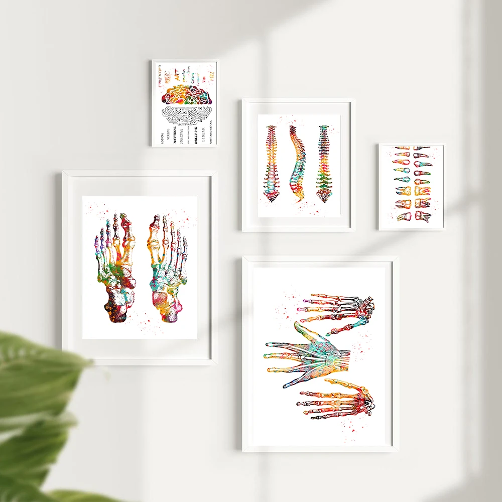 Feet Print Skeleton Set Art Canvas Poster Painting Foot Bones Anatomy Medicine Wall Print Clinic Medical Office Home Decor