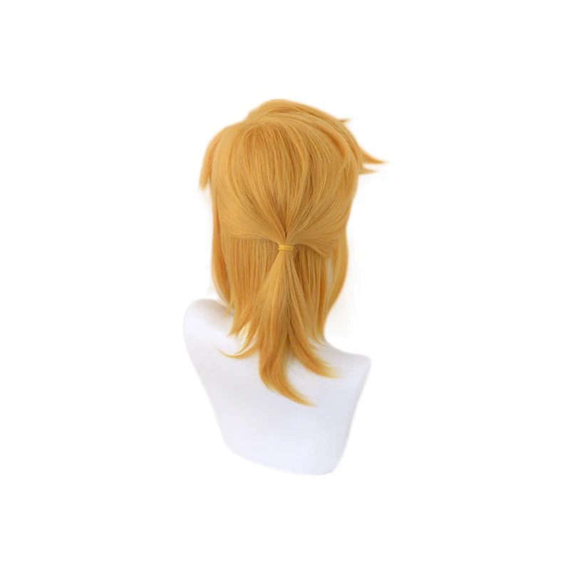 Breath of the Wild Link Korte paardenstaartpruik Cosplaykostuum Hittebestendig synthetisch haar Heren Dames Pruiken + Pruikdop