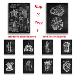 Brain Medical Print Human Head Anatomy White Coated Paper Prints Home Decoration for Livingroom Bedroom Home Art Brand