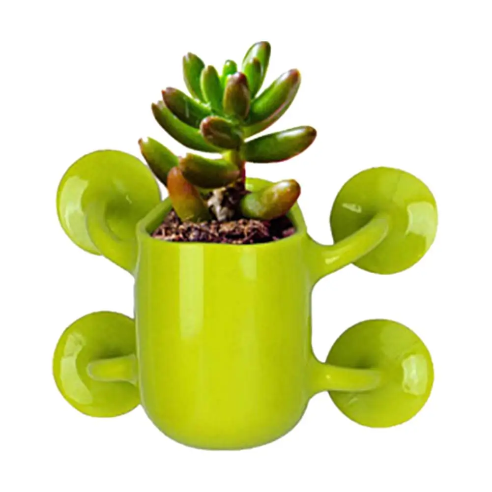 Creative Mini Flower Pots Bonsai Suction Cup Wall Flowerpot Flowers Cactus Culture Container Home garden wall hanging planter