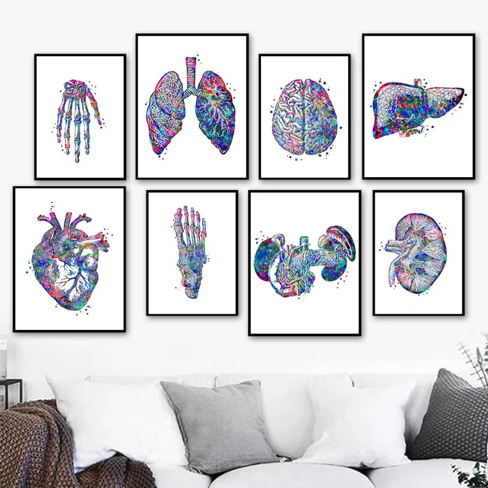 Anatomy Organs Heart Liver Lung Kidney Wall Art Canvas Painting Nordic Posters And Prints Wall Pictures For Clinic Room Decor