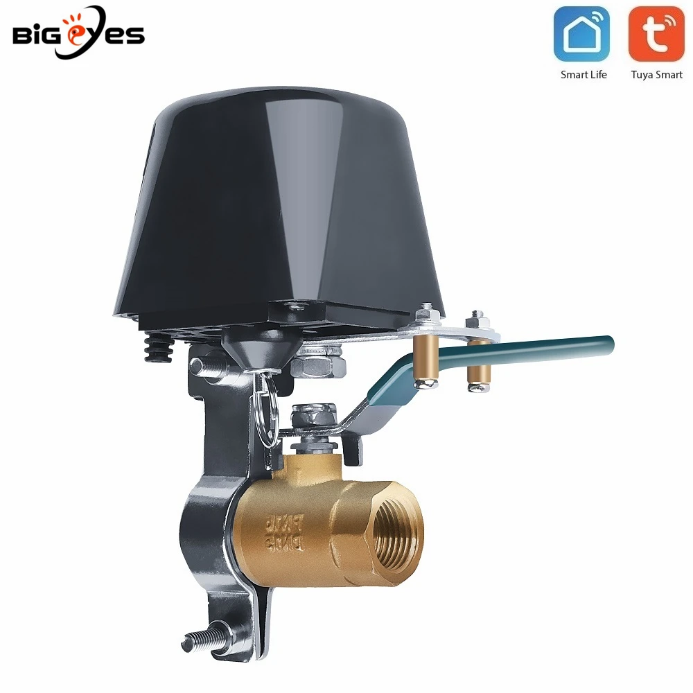 Bigeyes Tuya Alexa Google Nhà IFTTT Điều Khiển Không Dây Khí Van Nước Cuộc Sống Thông Minh WiFi Tắt Bộ Điều Khiển