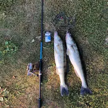 VORIA Spinning Fishing Rod 1.98 to 2.70m #5