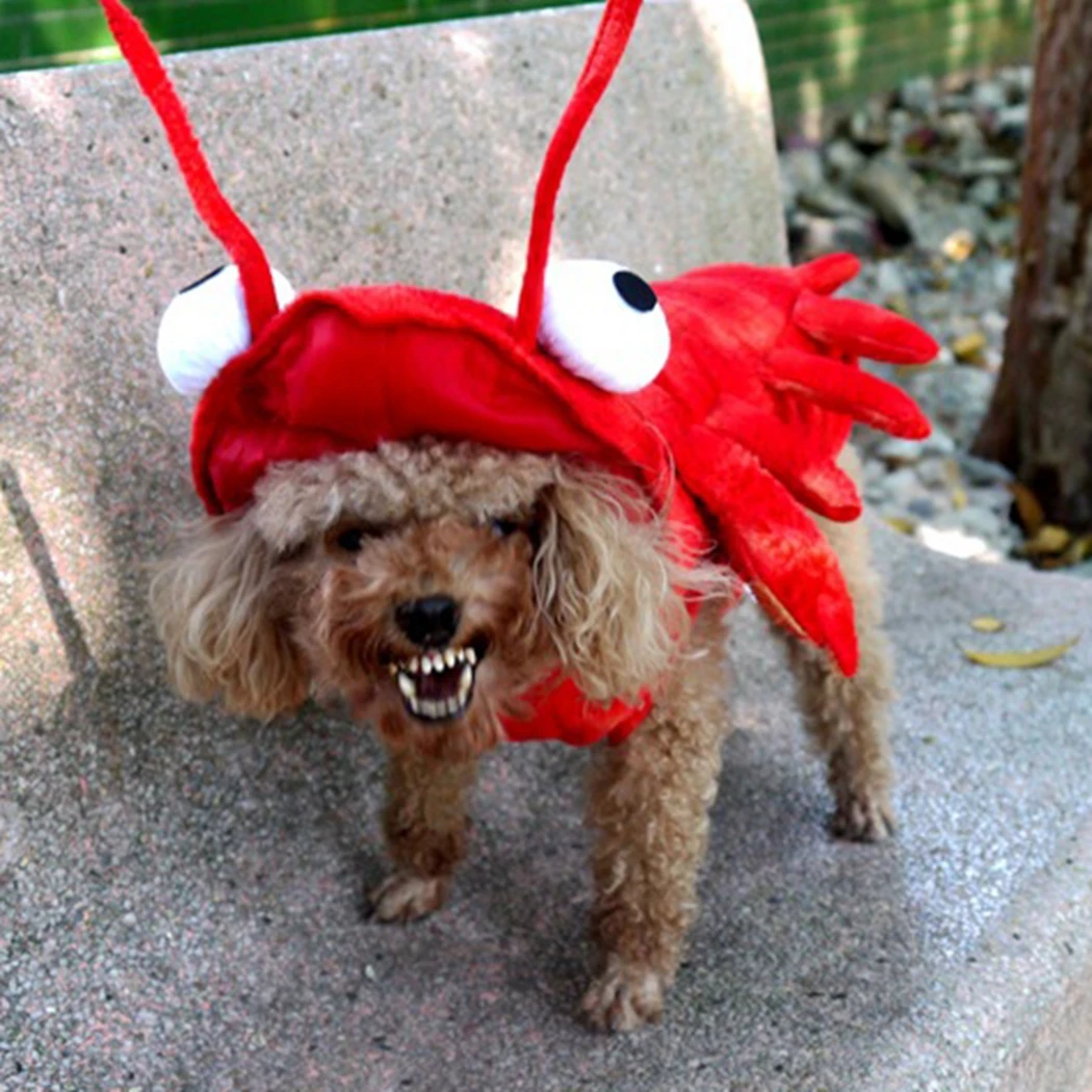 Winter Dog Clothes Halloween Lobster Costume Cat Cosplay Christmas Suit Dog Fancy Dress Pet Outfit Funny Clothing French Bulldog