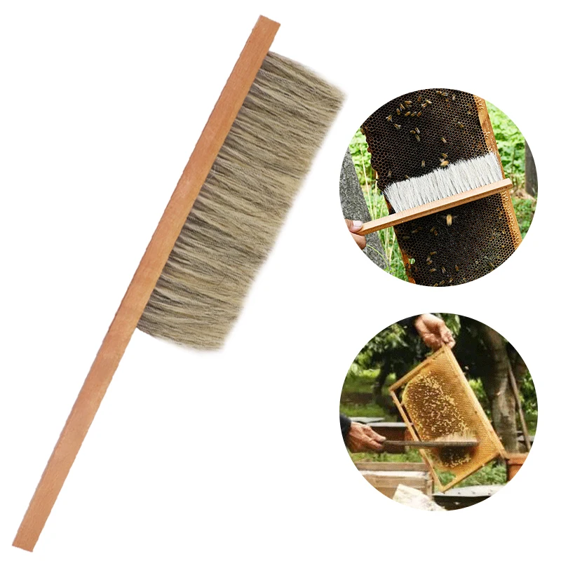 

Beekeeping Tools Beehive Cleaning Brush Bee Sweep Brush Two Rows of Horse Tail Hair Brushes Apiculture Equipment