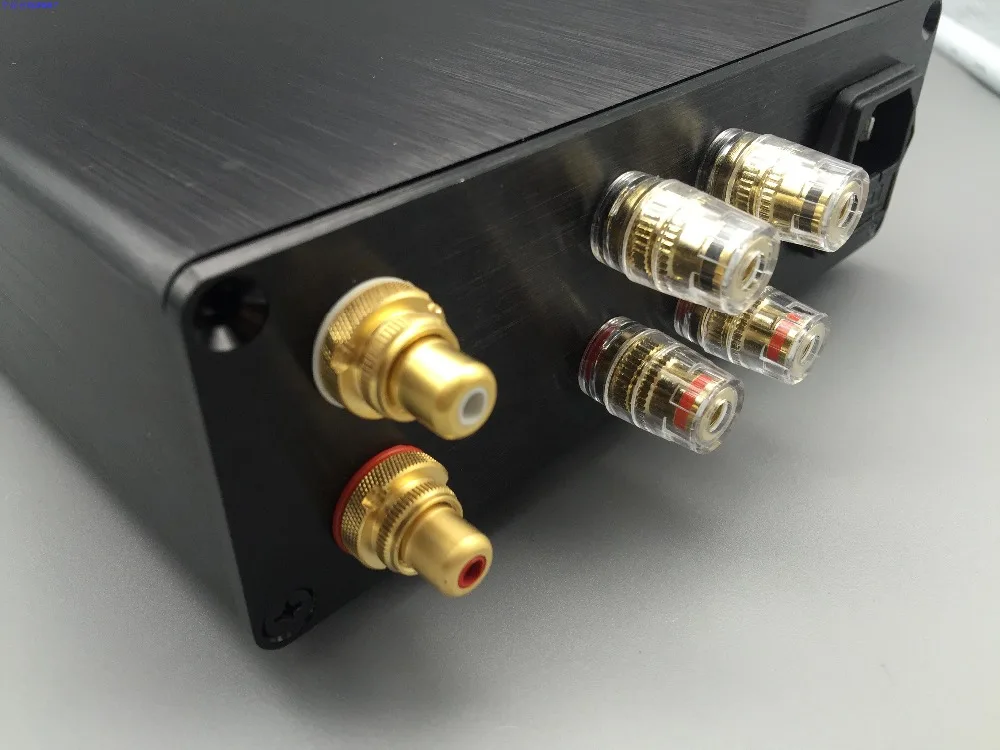 ICEPOWER ICE50AS BTL Single-ended Digital power amplifier RCA Stereo BTL XLR professional grade hifi power amplifier