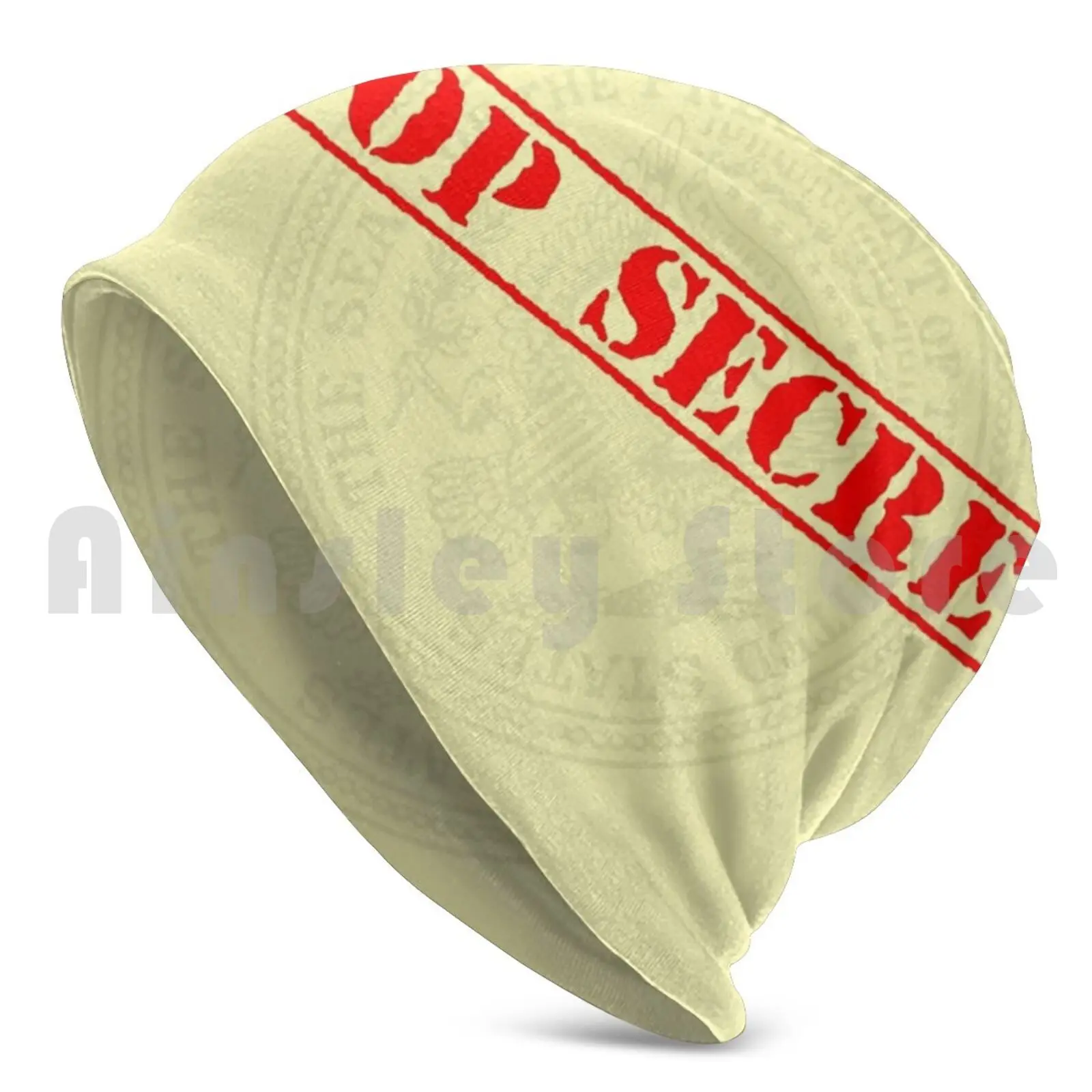 Top Secret Plan To Fight Inflation Beanie Hedging Cap DIY Print Cushion Josh Lyman West Wing Top Secret Plan Inflation