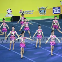 Aerobics Leotards Competition Figure Skating Dress Child Kids Clubs Elegant Aerobics Cheerleading Varsity Fancy Dress Uniform