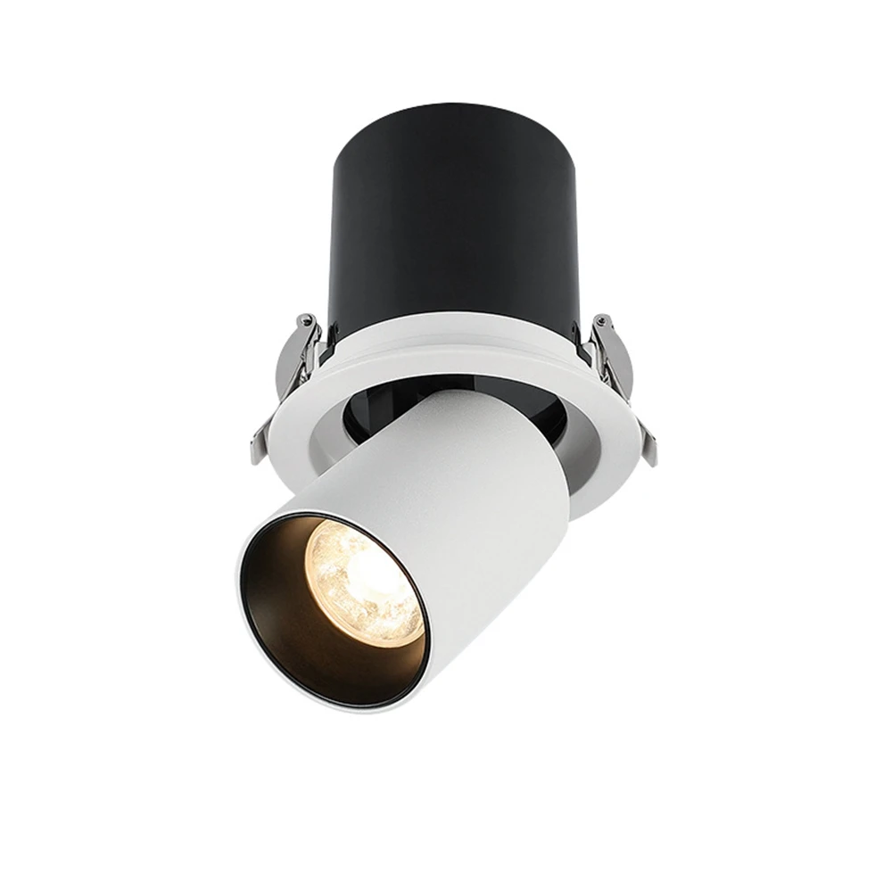 Imagem -01 - Levou Downlight Dobrável w 10w 12w 20w Stretchable 30w Led Spotlight para Baixo a Luz Diodo Emissor de Luz com Cree ou Philips Alta Cri Ac85265v 1pc levou downlight dobravel w 10w 12w 20w stretchable 30w led spotlight para baixo a luz diodo emissor de luz com cree ou philips alta cri ac85265v 1pc 01