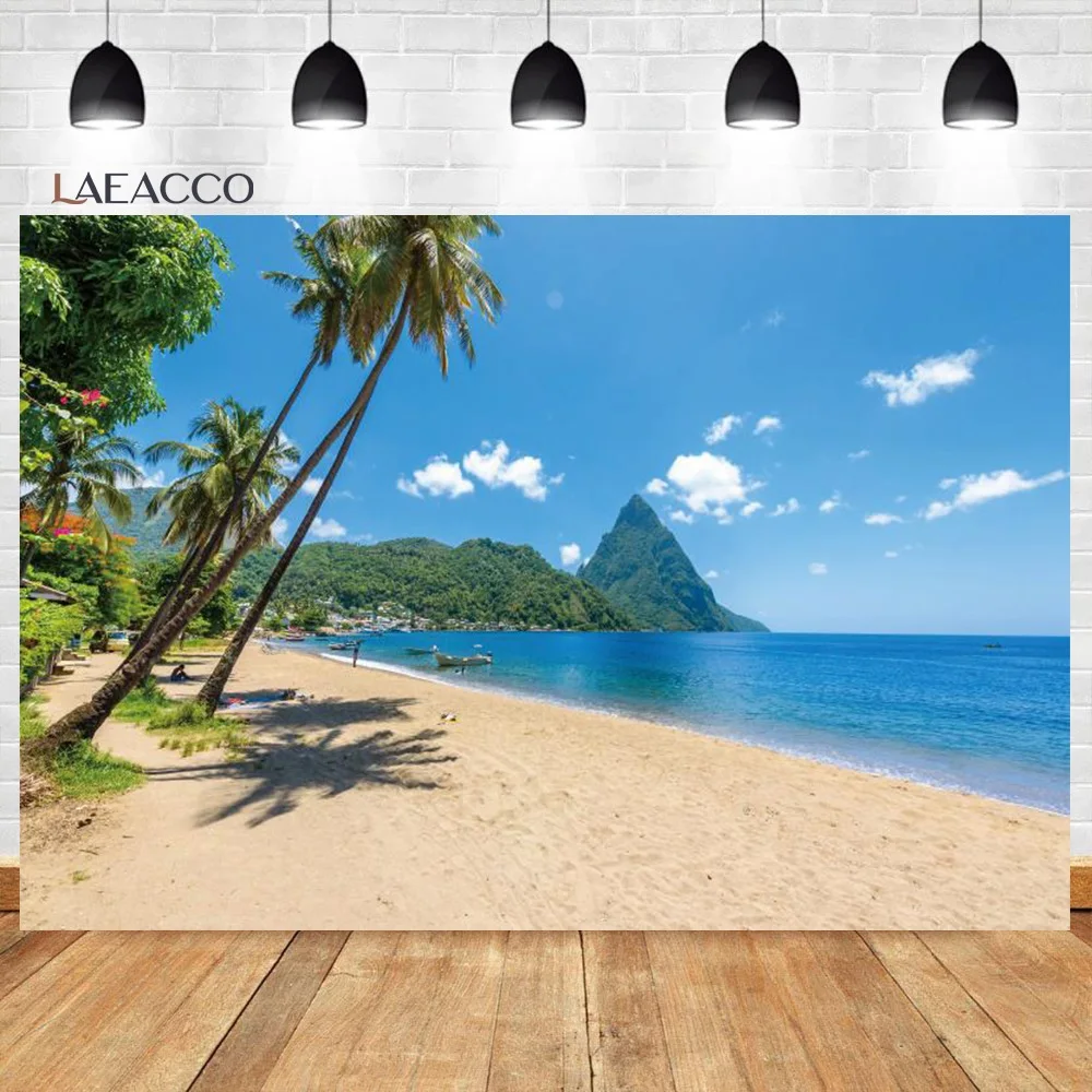 Laeacco-여름 해변 장면 사진 배경, 크루즈 선박 코코넛 나무 경치 좋은 배경 사진 스튜디오