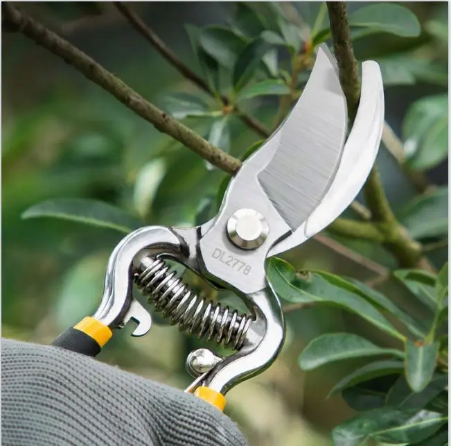 Deli Tools-Tijeras profesionales de podar ramas de árbol, cortadoras de árboles para jardín