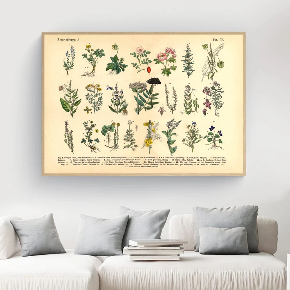 Vintage Botanical Herbs & Medicinal Plants Posters and Prints Home Wall Decor Canvas Painting Pictures for Kitchen Living Room