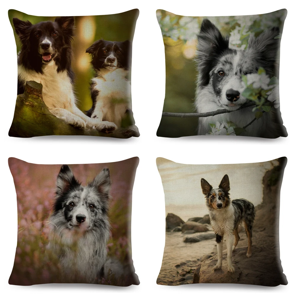 Scotland Border Collie Cushion Cover Decor Cute Pet Animal Dog Printed Pillow Case Polyester Pillowcase for Sofa Home Car 45*45