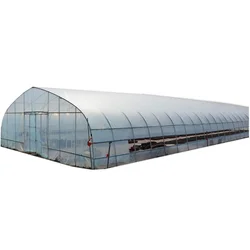 Agricultural Planting Transparent Plastic-Covered Greenhouse