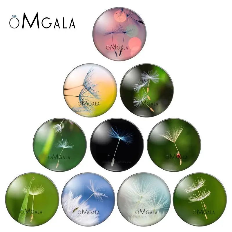 

New Beautiful Dandelion Patterns Mixed 10pcs 12mm/18mm/20mm/25mm Round photo glass cabochon demo flat back Making findings