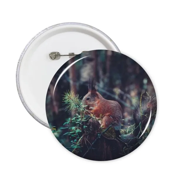 

Cute Squirrel Forestry Science Nature Scenery Round Pins Badge Button Clothing Decoration Gift 5pcs