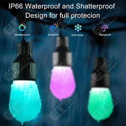 Paul Zhang 12V WS2811 Waterproof Smart Bulbs 15 Count Bulbs 20 Inch Spacing with xConnect Connector